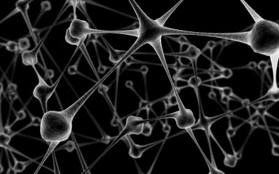 LA proteína Tau, la máxima «culpable» del Alzheimer